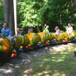 31f-2015-07 Murgel_lang_300dpi_1280x853